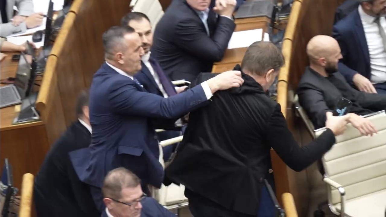Strkanica v parlamente